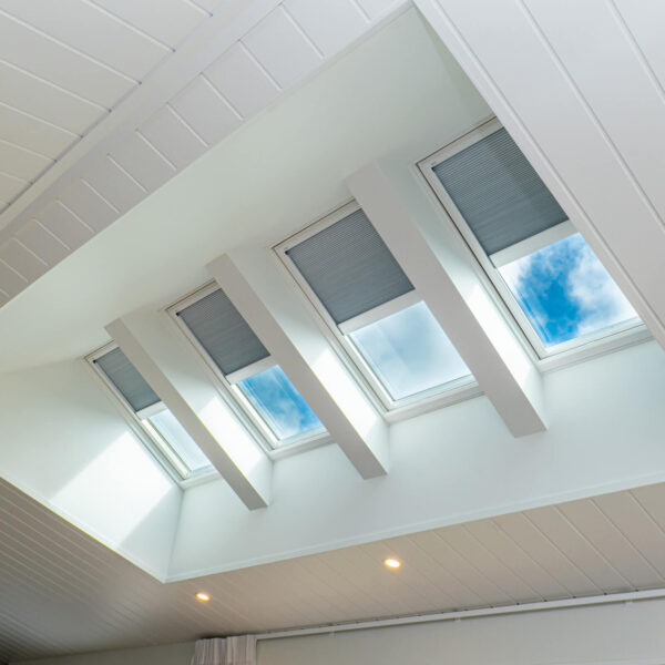 FSCH Solar Honeycomb Blackout